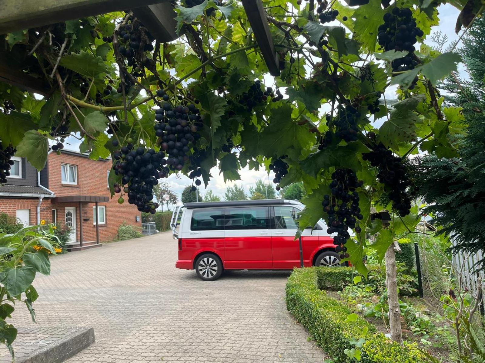 Neumuehler Hof- Gemuetliche Wohnung "Lenia" Parkplaetze Und Kongresshalle In Der Naehe Schwerin  Exterior foto